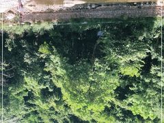 -陕西省红河谷森林公园
