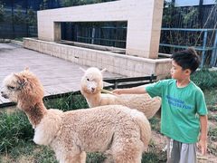 -廊坊固安福朋喜来登酒店