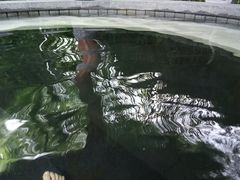 -海兰云天度假区温泉