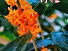 -颐和园