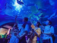 -成都浩海立方海洋公园