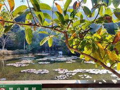 -野象谷景区