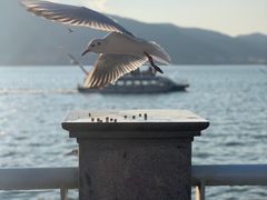 -海埂大坝