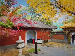 -护国法轮寺