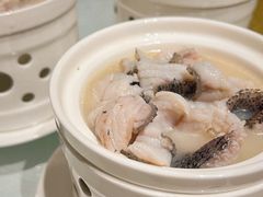 -陶缘一号·四季缘·老字号顺德菜·户外婚礼家宴(西滘店)