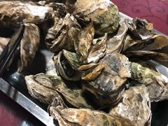 -罗源湾8号渔排