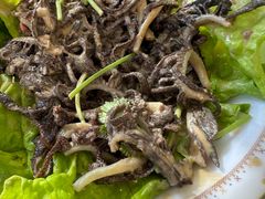 -兰州老马拉面(四王府店)