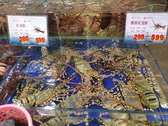 -东江海鲜酒家(艺都分店)