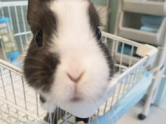 -怪兽屋·羊驼·猫咖·狗咖(俊华广场店)