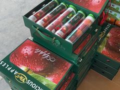 -东方鼎信农副产品交易中心