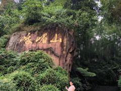 -峨眉山报国寺