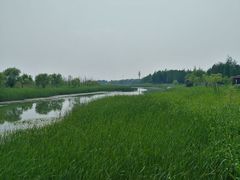 -苏州太湖湖滨国家湿地公园