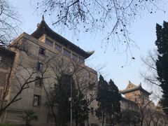 -武汉大学-樱园