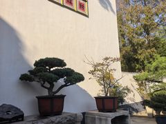 -龙华素斋(龙华路店)