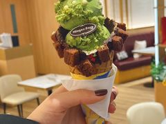 -哈根达斯(国瑞店)