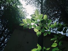 -花溪风景区