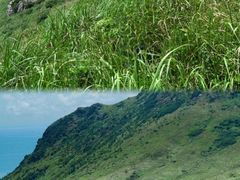 -嵛山岛