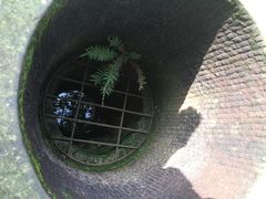 -峨眉山报国寺