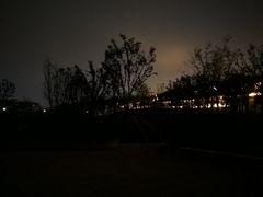 -九龙湖公园