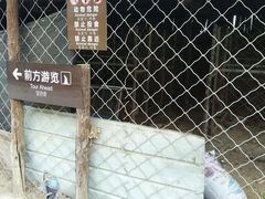 -呀路古热带植物园