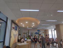 -上海交通大学医学院附属上海儿童医学中心(陆家嘴总院区)