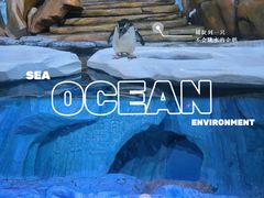 -海合安青岛极地海洋公园