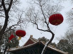 -北京国子监胡同