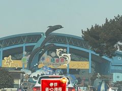 -泉城欧乐堡海洋极地世界