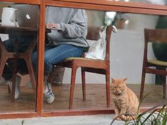-禅蕴素食生活馆