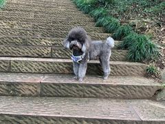 -杭州半山国家森林公园