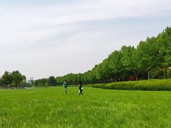 -宜兴龙背山森林公园
