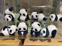 -九木杂物社(中心店)