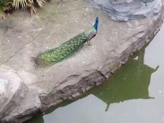 -南昌动物园
