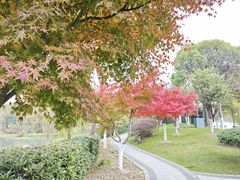 -南通濠河风景名胜区