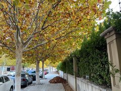 -天津东丽湖风景区