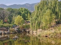 -北京西山国家森林公园