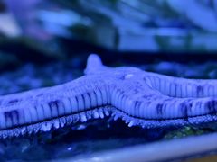 -欢乐海岸海洋奇梦馆