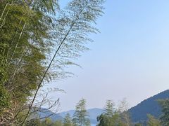 -梧桐山风景名胜区