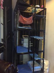 -飛凡TATTOO纹身•原创