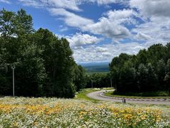 -长白山万达锦华套房酒店