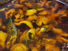 水煮鱼-秦记香辣蟹(松榆里店)