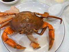 -大东海海鲜酒楼(渔人码头总店)