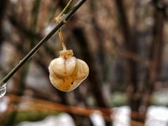 -周恩来同志少年读书旧址