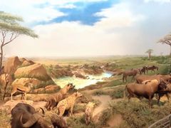 -陕西自然博物馆