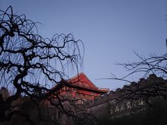 -香山公园