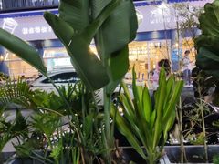 -野萃山·潮汕厚果汁(十亩地店)