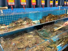 -韩记海鲜饺子旗舰店(红海新区店)
