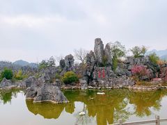 -千岛湖石林