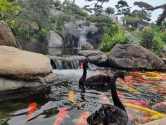 -罗红摄影艺术馆