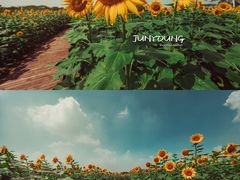 -花开海上生态园